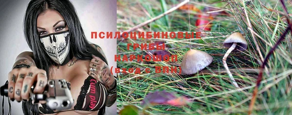 первитин Мегион