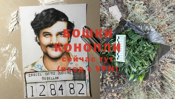 гидропоника Медногорск