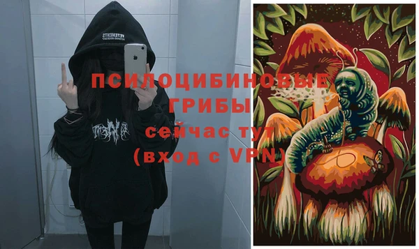 марки lsd Медвежьегорск