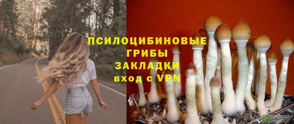 первитин Мегион
