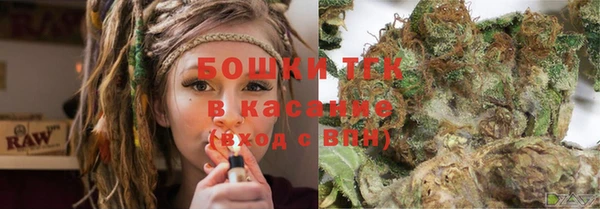 гидропоника Медногорск
