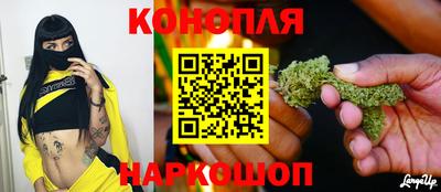 PSILOCYBIN Краснодар