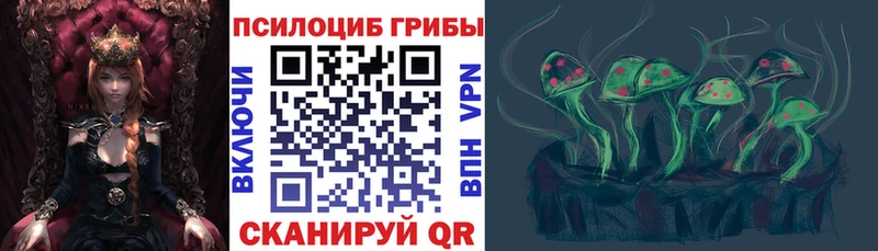 где купить   Чусовой  Псилоцибиновые грибы MAGIC MUSHROOMS 