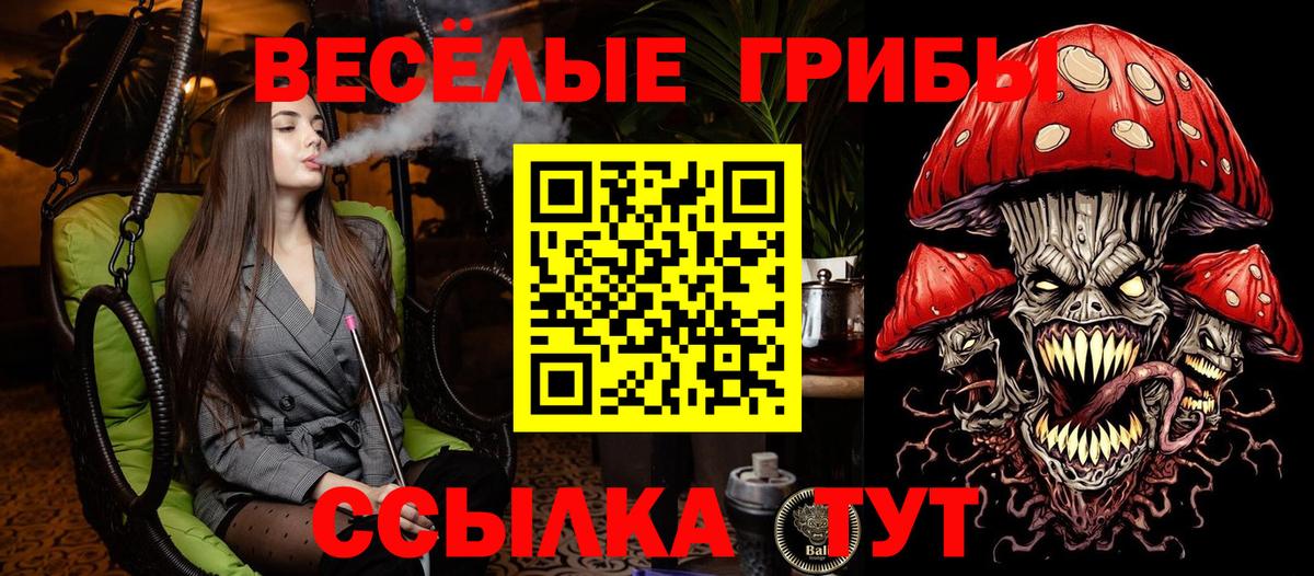 Галлюциногенные грибы GOLDEN TEACHER  Чусовой  Псилоцибиновые грибы MAGIC MUSHROOMS 